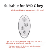 BYD C model