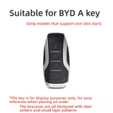 BYD Model A