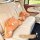 Raccoon cartoon car headrest pillow: soft, plush design with paw details, providing comfort and support for all-season use in...