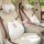 Cozy tulip bear car headrest with memory foam neck and lumbar support, featuring adorable bear design for a comfortable feel.