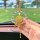 A hand holds a chinese-style crystal car pendant featuring a golden circular charm with intricate designs, surrounded by spar...