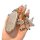 A hand holds a gold huawei aito m8 key cover with an nfc card holder, adorned with a sparkling horse charm and a diamond-encr...