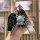 A hand holds an icar 03 key cover for eq7 shuxiangjia 2024, featuring a sleek black design with silver accents and a playful ...